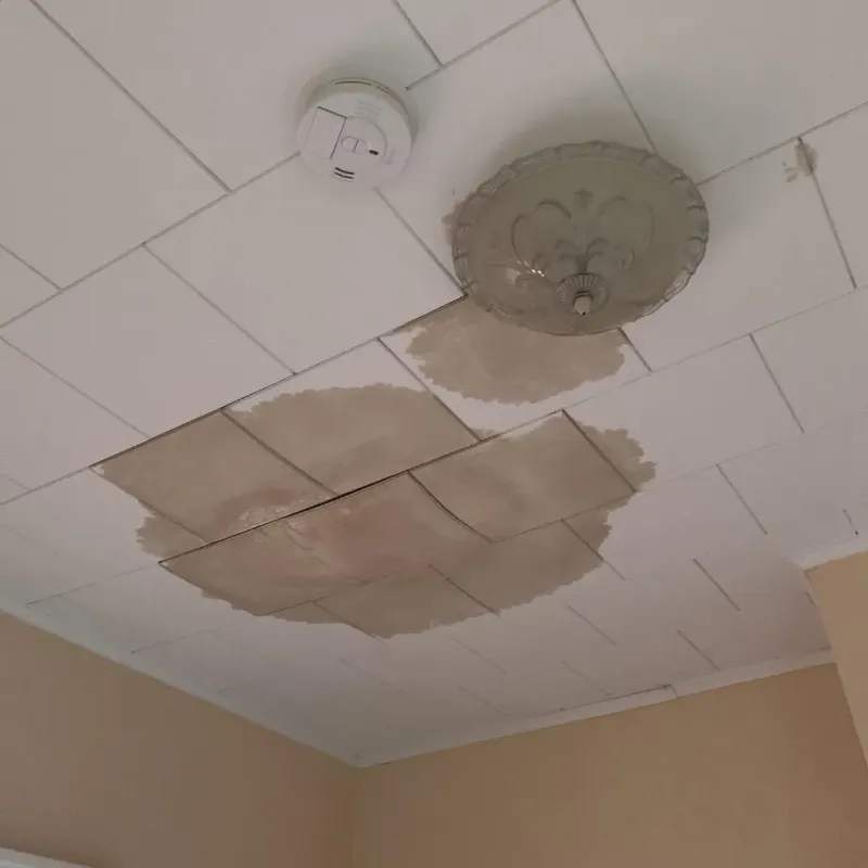 Ceiling Water Damage Repair in Dulles Town Center, VA