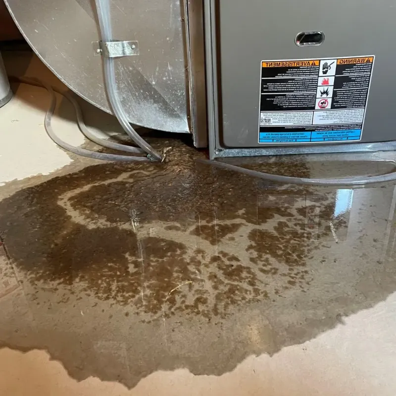 Pipe Burst and Leak Restoration in Dulles Town Center, VA